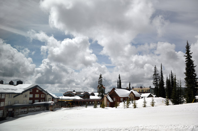 2010.04.18 1242p BigWhite